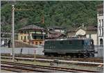 Die zwischenzeitlich ziemlich bekannte SBB Re 4/4 II 11161 wartet in Bodio auf der Dampfzug nach Bellinzona.