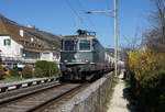 Re 420 330-3 mit dem Holcim Zug beim Passieren der einspurigen Strecke bei Ligerz am 28.