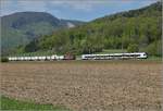 Schweizer Gäubahn. Re 4/4 II 11263 begegnet ihrem Migroszug bei Oensingen einem Zuger Flirt. April 2019.