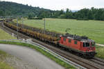 Re 420 162-0 mit einem eher seltenen Langschienenzug bei Roggwil am 15. Juni 2020.
Foto: Walter Ruetsch