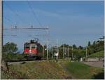 Die SBB Re 4/4 II 11245 (Re 420 245-1) auf der Fahrt in Richtung Palézieux kurz nach La Conversion, dessen Einfahrsignale im Hintergrund noch zu sehen sind.

14. Juli 2020