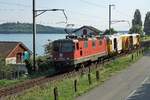 Einspurstrecke auf der Jurasüdfusslinie zwischen Schafis und Twann.
Impressionen vom 1'800 m langen Nadelör.
Sonderleistung in Richtung Osten unterwegs mit der Re 420 269-3 am 31. Juli 2020.
Foto: Walter Ruetsch