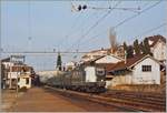 Als im Frühjahr 1995 die SBB Re 4/4 II 11343 mit ihrem Schnellzug nach Birg durch den Bahnhof von Rivaz fährt, verfügt dieser noch über umfangreiche Gleisanlagen und einen