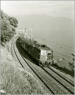 Die SBB Re 4/4 II 11314 ist zwischen St-Saphorin und Rivaz mit einem Schnellzug in Richtung Lausanne unterwegs. Leider geht auf den damals gemachten Aufzeichnungen nicht hervor, ob der Zug nach Genève oder Zürich (via Jura Südfuss) fuhr. Beachtenswert ist auf diesem Bild auch die zierliche Fahrleitung. 

Analogbild vom Juli 1985