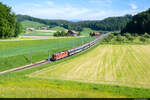 Am 15.05.2022 ist SBB Re 420 143 unterwegs mit einem Fanzug nach Bern Wankdorf und konnte hier bei Burgdorf, Grafenschüren aufgenommen werden