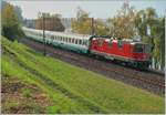 Re 4/4 II mit EC 122 von Milano nach Genève unterwegs bei Villeneuve am 29. Oktober 2007.
