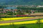 Eine Re 4 4 II und eine Re 6 6 ziehen gemeinsam einen Gterzug in Richtung Basel durch grne Wiesen und gelbe Rapsfelder. Der Rhein, im Bild links oben, teilt die Schweiz und Deutschland in der Flussmitte. Beide Orte am Flussufer tragen aber den gleichen Namen - Wallbach. 9.5.2008