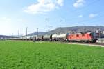 Re 4/4 II 11238 mit Güterzug bei Sissach, 28.03.2014.