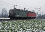 SBB: Als Re 10-Lokzug waren am 20. Januar 2015 die Re 4/4 ll 11330 und die Re 6/6 11682  PFAEFFIKON SZ  bei Roggwil unterwegs.
Foto: Walter Ruetsch