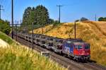 SBB Cargo Lok 420 310-5 donnert mit einem Panzerzug durch die Getreidefelder,das Gefälle nach Mumpf hinunter.Bild vom 10.7.2015