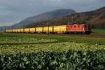 SBB/PTT: Postcontainerzug mit Re 4/4 11266 II im solothurnischen Gäu am 17. November 2015.
Foto: Walter Ruetsch