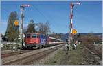 Die SBB Re 421 392-2 erreicht mit ihrem EC 195 von Zürich nach München in Kürze Lindau Hbf und passiert gerade die westlichen Einfahrsignale von Lindau Reutin.