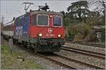 Die SBB Re 421 393-2 hat in Lindau Hbf den EC 194 von München unternommen und nähert sich nun bei ihrer Fahrt nach Zürich bei Kilometer 1.6 Lindau Reutin. 
14. März 2019