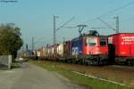 Am frhen Abend machten wir (Hannes Mller und ich) auf den Rckweg. Das letzte Motiv des Tages unseres gemeinsamen Ausflugs war die SBB 421 387-2 mit einem Containerzug Richtung Sden bei Wiesental. Danach mussten wir schnell zum Hp Wiesental zurck um die RB nicht zu verpassen. Aufgenommen am 22.10.2011.