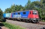 Lokportrait von der Schweizer Lady Re 421 389-8 (SBB Cargo), sie kam mit einem Containerzug am heimischen Garten in Zwickau vorbei. 07.09.2013