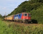 421 387-2 mit geschlossenen ARS-Autotransportwagen in Fahrtrichtung Süden. Aufgenommen zwischen Friedland(HAN) und Eichenberg am 08.08.2014.