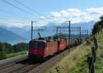 436 115 + 436 11x mit einem Containerzug am 01.09.2011 unterwegs bei Einigen.