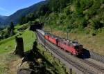 Re 436 114 + Re 436 112 + Re 436 115 mit einem Containerzug am 28.08.2012 oberhalb von Wassen.