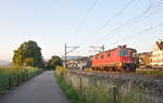 Im ersten Sonnenlicht des Tages düst die Re 430 363-2 (ehemals Re 4/4 III 11363) als Lokzug bei Wädenswil vorüber.
