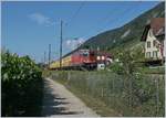 Die SBB Re 430 353-2 mit ihrem Postzug auf der Fahrt Richtung Biel/Bienn kurz nach Ligerz.