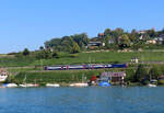 S 7 von Winterthur nach Rapperswil zwischen Herrliberg und Meilen in der Morgensonne. Das Foto wurde von der Fähre Meilen - Horgen aufgenommen. Meilen, 7.9.2023