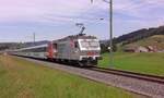 Luka und ich waren am Wochenende wieder mal unterwegs. Zuerst war Ringen angesagt, danach ging es auf die Jagd.

Nachschuss des Voralpenexpress von der Schublok Re 456 095 auf dem Weg nach St. Gallen.

Schwyzersbrugg, 16.06.2018