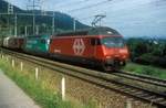 460 078 + 460 074  Stein - Säckingen  04.07.98