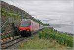 Umleitungsverkehr via die  Train des Vignes  Strecke infolge Restaurierung des Bertholod Tunnels: Wie bereits erwähnt, das Wetter wäre eigentlich nicht schlecht gewesen, doch dann lief alles