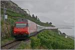 Umleitungsverkehr via die  Train des Vignes  Strecke infolge Restaurierung des Bertholod Tunnels: Nach der Durchfahrt des RABe 511 kam auch schon ein weiter Zug, aus der Gegenrichtung zeigt sich eine