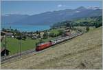 Eine SBB Re 460 ist mit einem IC von Interlaken in Richtung Spiez unterwegs und hat gerade Faulensee verlassen.