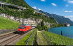 SBB Re 460 118 / IR Brig - Genève Aéroport / Veytaux-Chillon, 18.