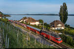 SBB Re 460 081 / Leermaterialzug 32172 Erlen - Cornaux NE / Ligerz, 26.