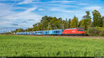 SBB Re 460 087 / Extrazug Bern - Basel GB / Herzogenbuchsee, 28.