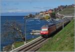 Die SBB Re 460 027 schiebt zwischen St-Saphorin und Rivaz ihren IR 90 in Richtung Lausanne.