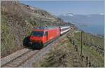 Noch einmal die SBB Re 460 103-5  Heitersberg  mit ihrem RE 30268 von St-Maurice nach Genève Aéroport zwischen Vevey und Chexbres kurz vor der Einfahrt in den 20 Meter langen Salanfe Tunnel oberhalb von St-Saphorin. 

 20. März 2022