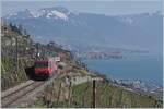 Die SBB Re 460 103-5  Heitersberg  ist mit ihrem RE 30268 von St-Maurice nach Genève Aéroport zwischen Vevey und Chexbres unterwegs. Begünstigt durch den Aufnahmewinkel versteckt sich der Zug praktisch vor sich selbst.

20. März 2022