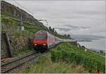 Nachdem beim Umleitungsverkehr via die  Train des Vignes  Strecke sich die SBB Re 460 089-6 mit ihrem RE 30630 an mir vorbeigequält hatte, um kurz ihre Fahrt und meine Fototour abzubrechen, war