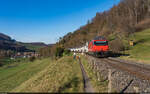 SBB Re 460 / Sommerau, 7.