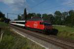 Re 460 049-0 nhert sich am 19.7.12 mit dem RE 2931 Busswil.