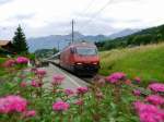 SBB - 460 078- mit IC bei der durchfahrt in Faulensee am 21.06.2015