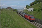 Die SBB Re 460 113-4 mit einem IC nach St.Gallen zwischen Bossière und Grandvaux.