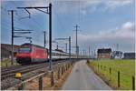 IC565 mit 460 026-8 in Siebnen-Wangen.