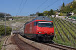 SBB: IC Genf-Luzern mit der Re 460 083-9 bei Grandvaux am 8. April 2017.
Foto: Walter Ruetsch 