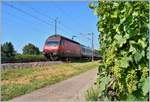 An den reifenden Trauben der La Côte fährt die SBB Re 460 059 bei Perroy mit ihrem IR Richtung Luzern.