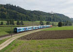 Die blauen Wagen vom Connecting Europe Express in der herrlichen Landschaft bei Bollodingen, gezogen von einer SBB Re 460 am späten Nachmittag des 27.