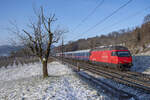 Re 460 048-2 ist mit dem NJ aus Prag bei Umiken AG unterwegs in Richtung Zürich HB, aufgenommen am 17.12.2022.