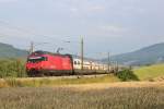 460 047 war am 25.Juli 2013 zwischen Sissach und Tecknau mit einem Schnellzug auf dem Weg nach Olten.