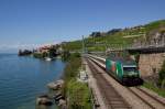 460 087-0 mit dem IR1717 (Genève-Aéroport - Brig) zwischen Rivaz und St-Saphorin am 22.08.14