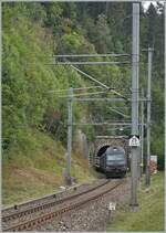 Die BLS Re 465 002 schiebt ihren RE von Bern nach La Chaux de Fonds und taucht gleich in den Vue des Alpes Tunnel ein. Auch hier sind Besen zu erkennen, die gegebenenfalls Köpfe und Arme neugieriger Reisenden sanft, aber bestimmt ins Wageninnere verweisen. 

12. August 2020