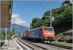 Die SBB Re 474 009 fährt mit einem Güterzug in Richtung Luino durch den Bahnhof von San Nazzaro.